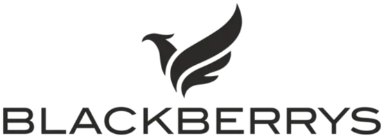 Brand partner